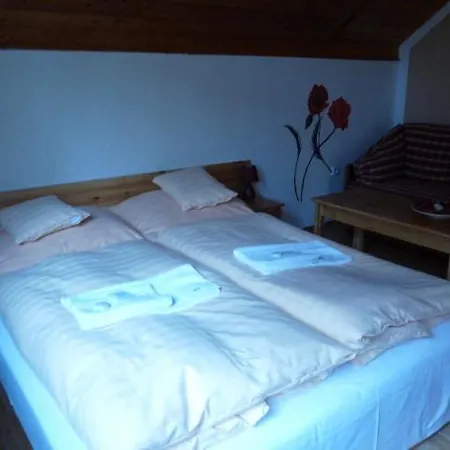 Pensioneu Homestay szállás *